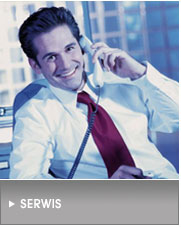 Serwis